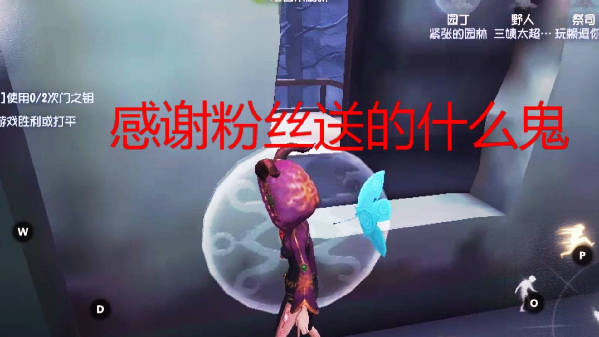 第五人格:感谢粉丝送的随从 蓝蝴